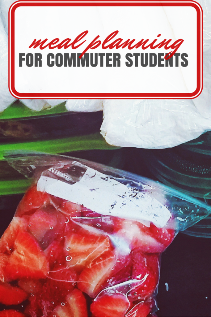 Orphan Survival Guide - Meal Planning for Commuter Students